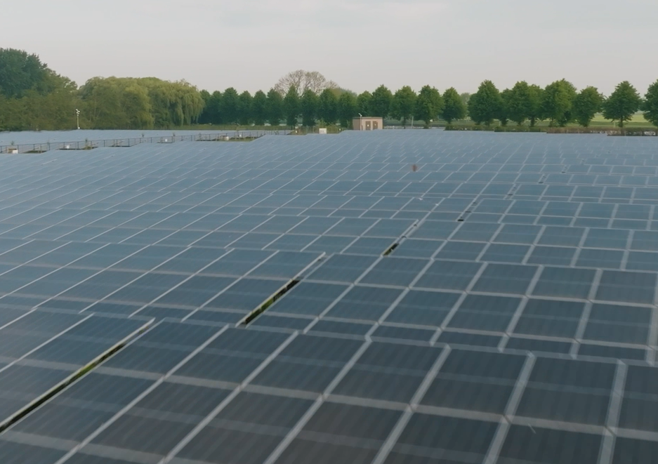 Zonneparken vol energie én leven